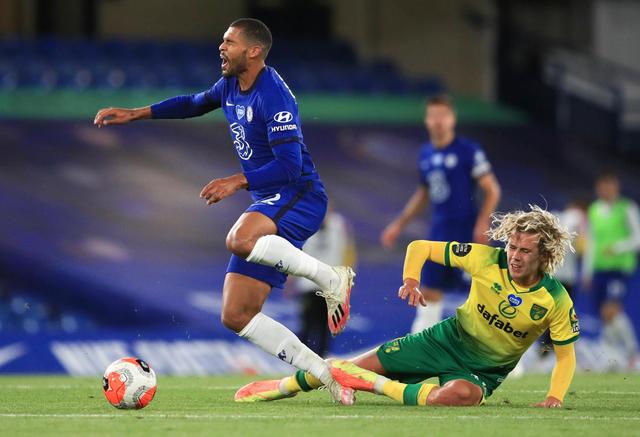 的便是灰熊 的便是灰熊